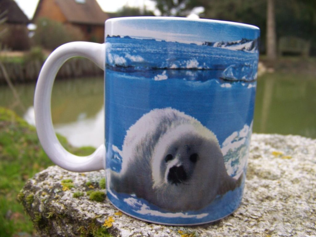 Mug Kirghizistan
